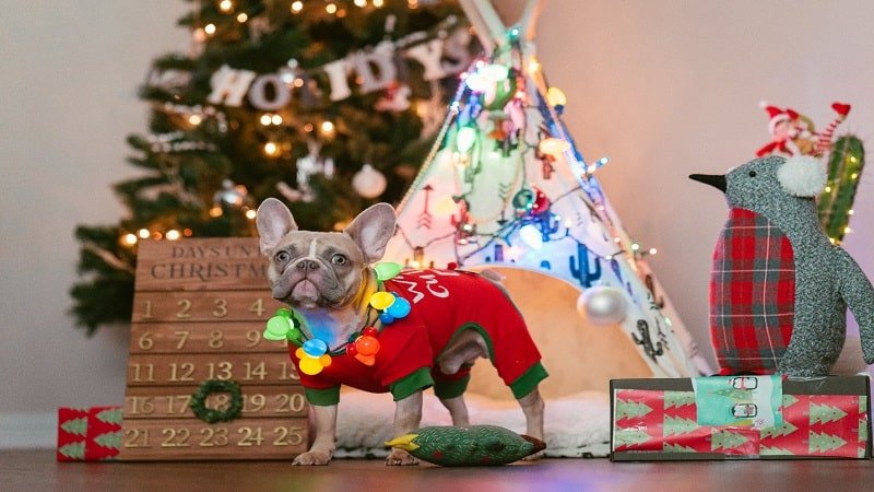 Best Christian Christmas Gifts for Kids