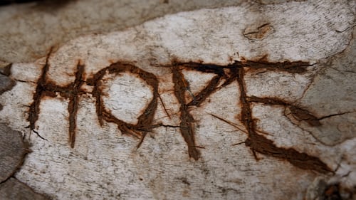 'Hope' written on a stone