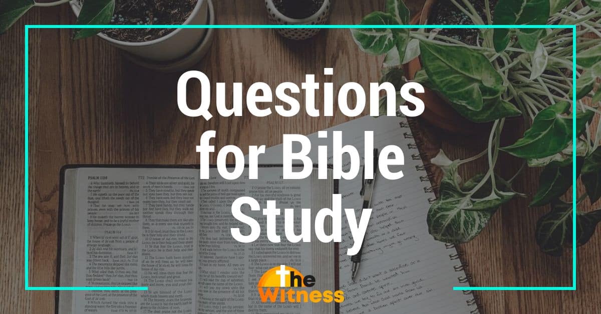 Questions for Bible Study