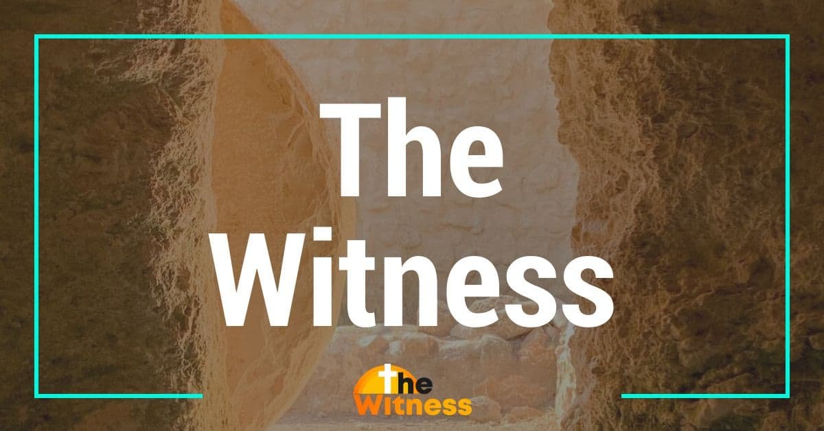 about the witness christianity adam phillips