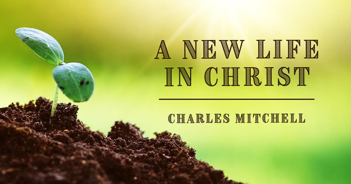 Benefits Of Living A New Life In Christ (2025)