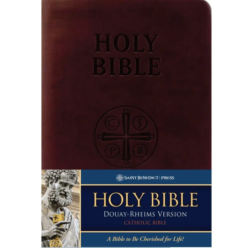 best catholic bible 2022