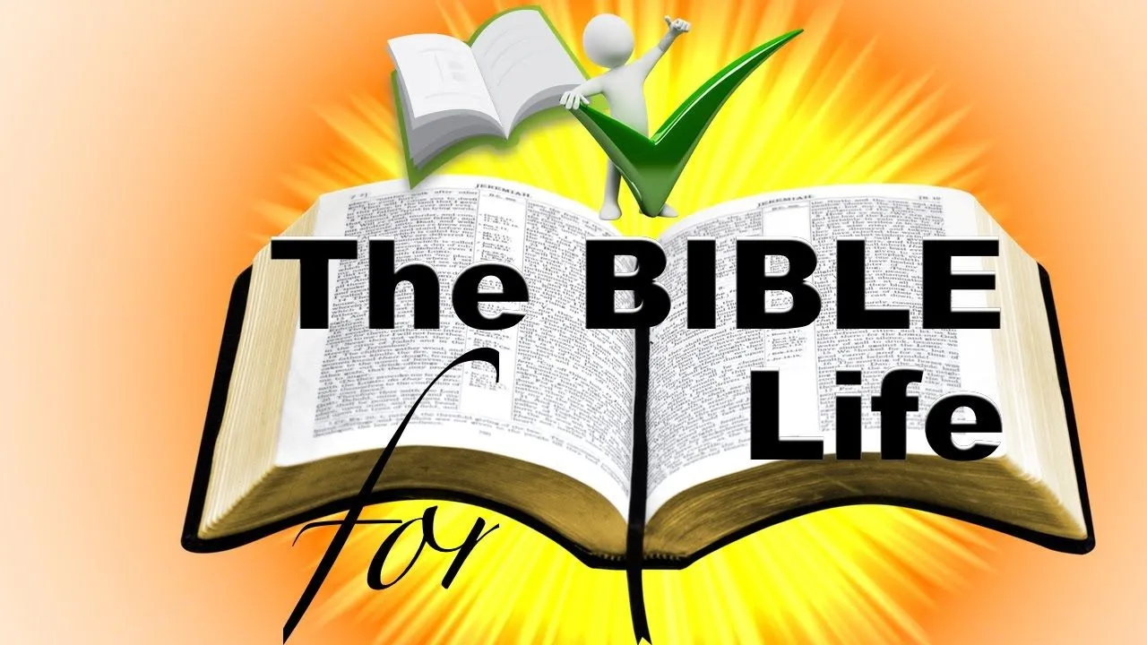 bible is the manual of life