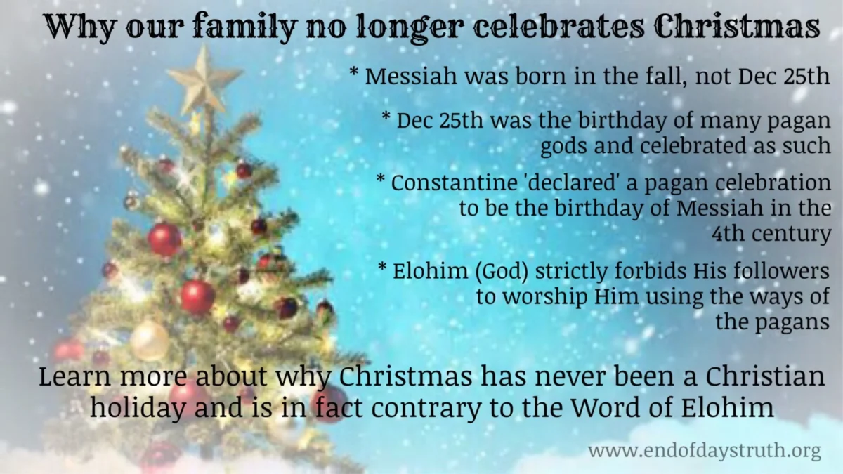 Christmas Tree Christian Meaning (2024)