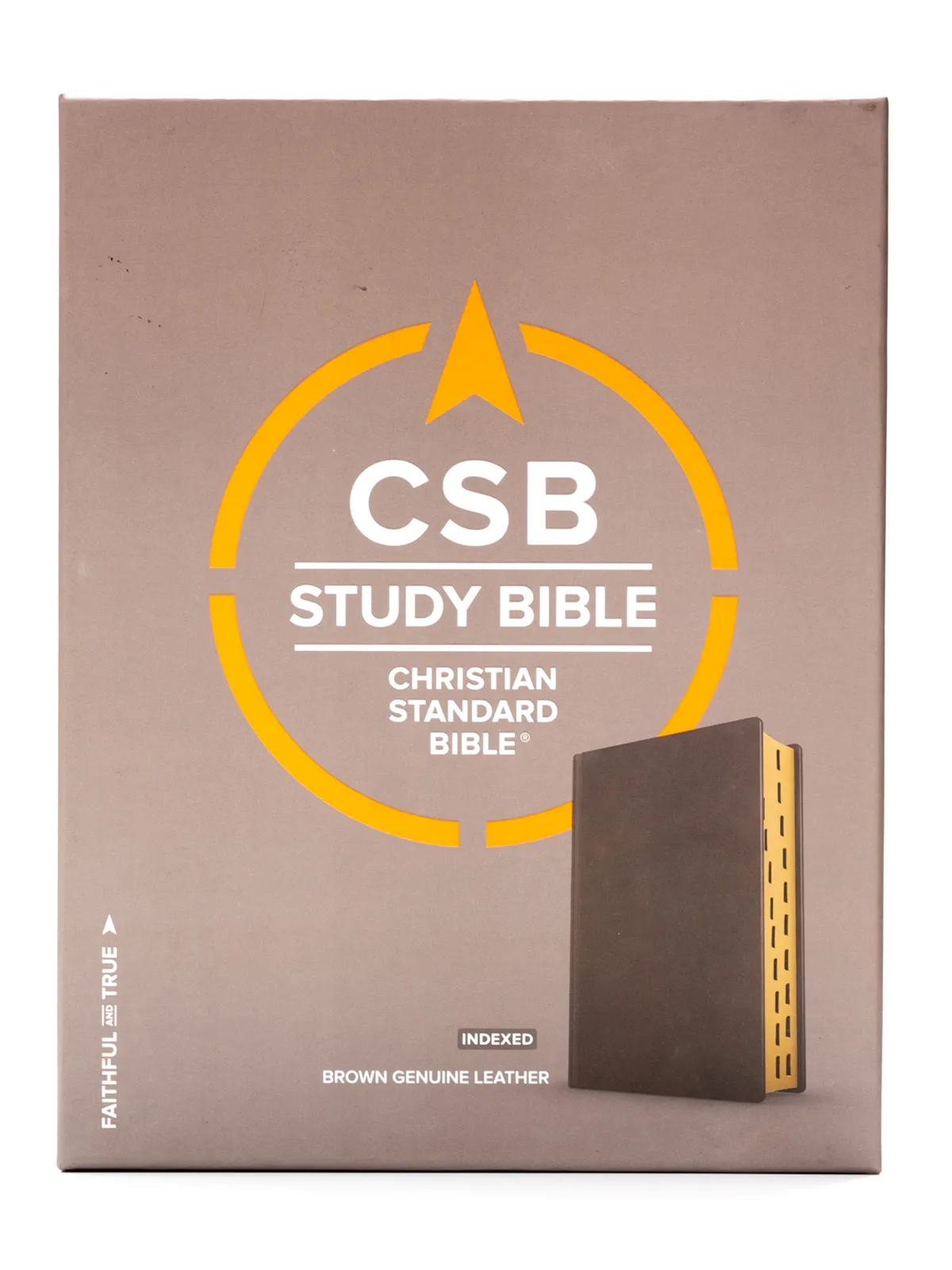 csb bible pros and cons