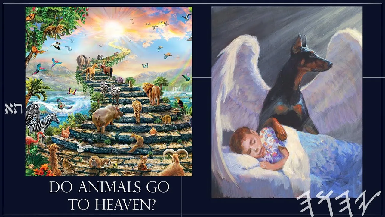 do animal go to heaven