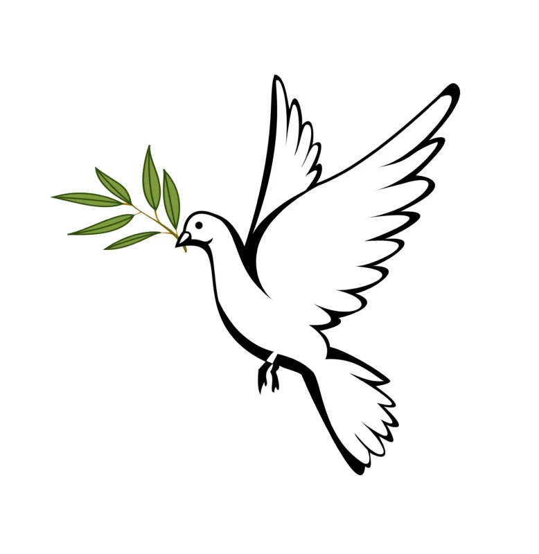 Dove Christianity Symbol The Witness
