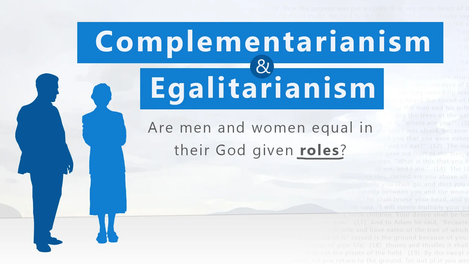 egalitarian versus complementarian