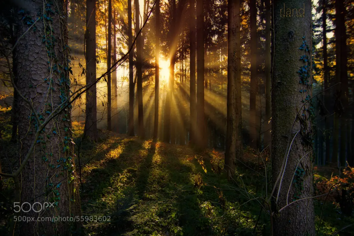 Heathenry: Discovering the Ancient Spiritual Beliefs and Paganism