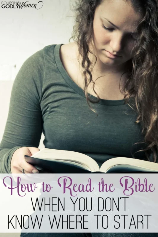 How To Read Bible For Beginners 2023 