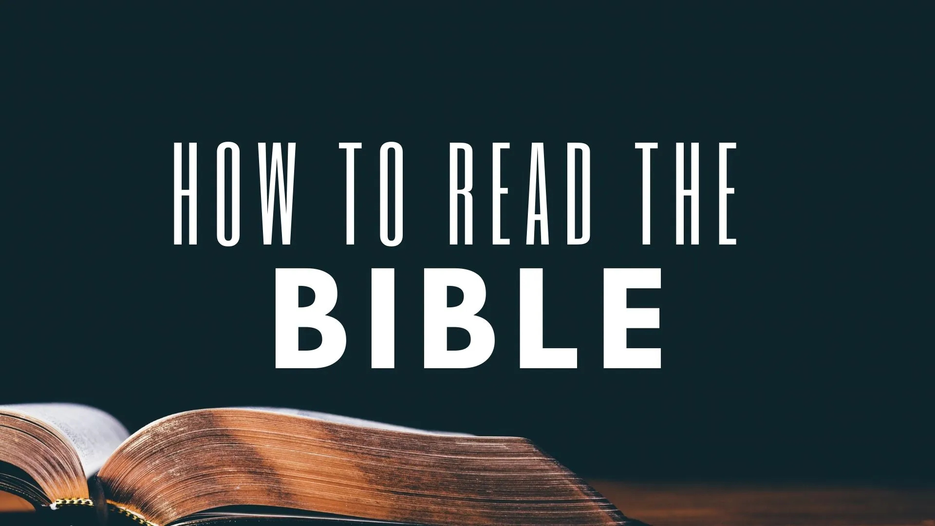 how to read bible online