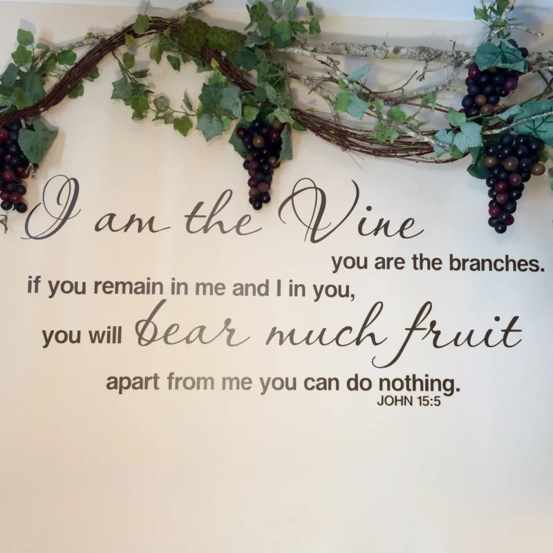 i am the vine you are the branches meaning