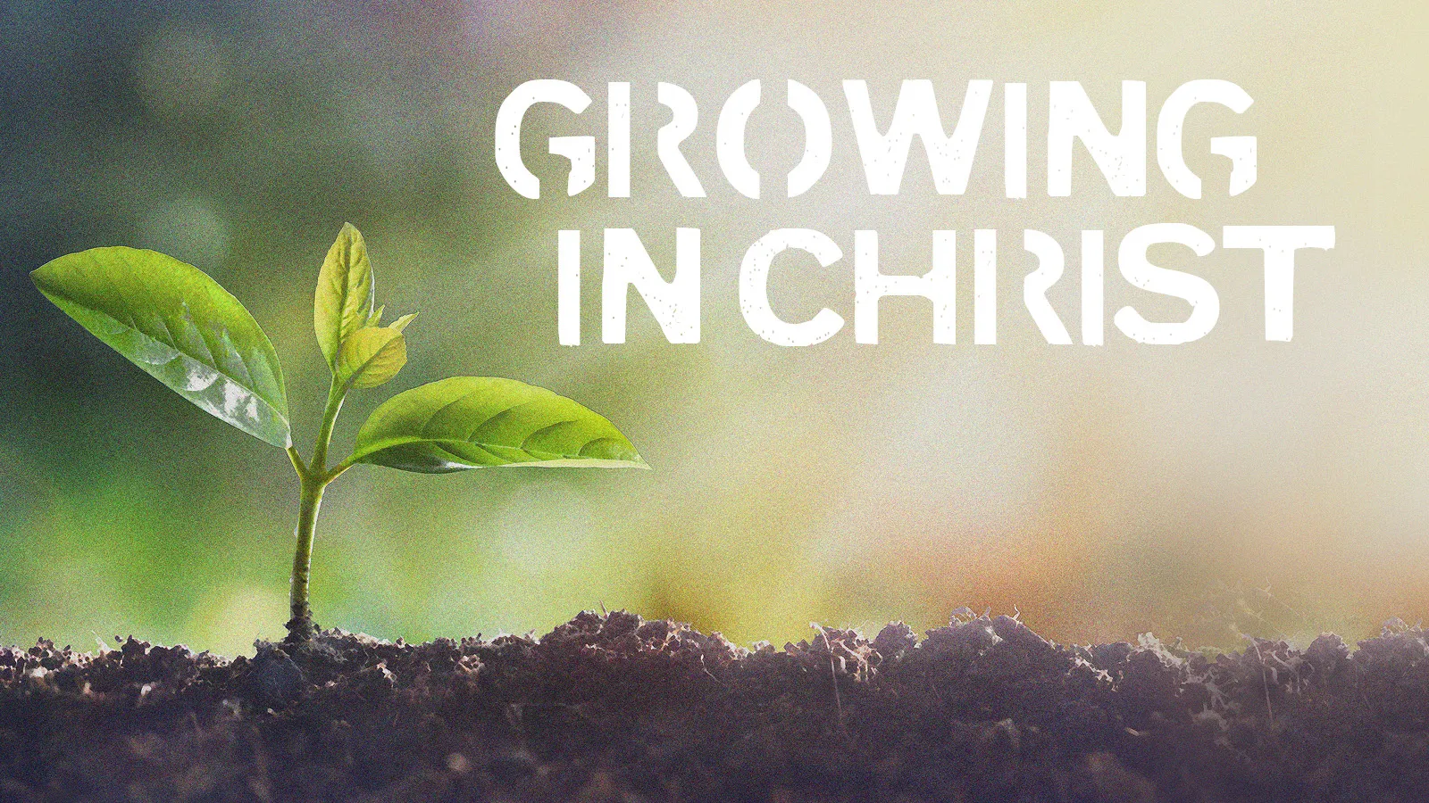 importance of growing in christ