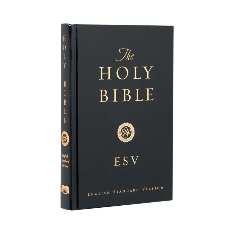 is esv bible good for beginners