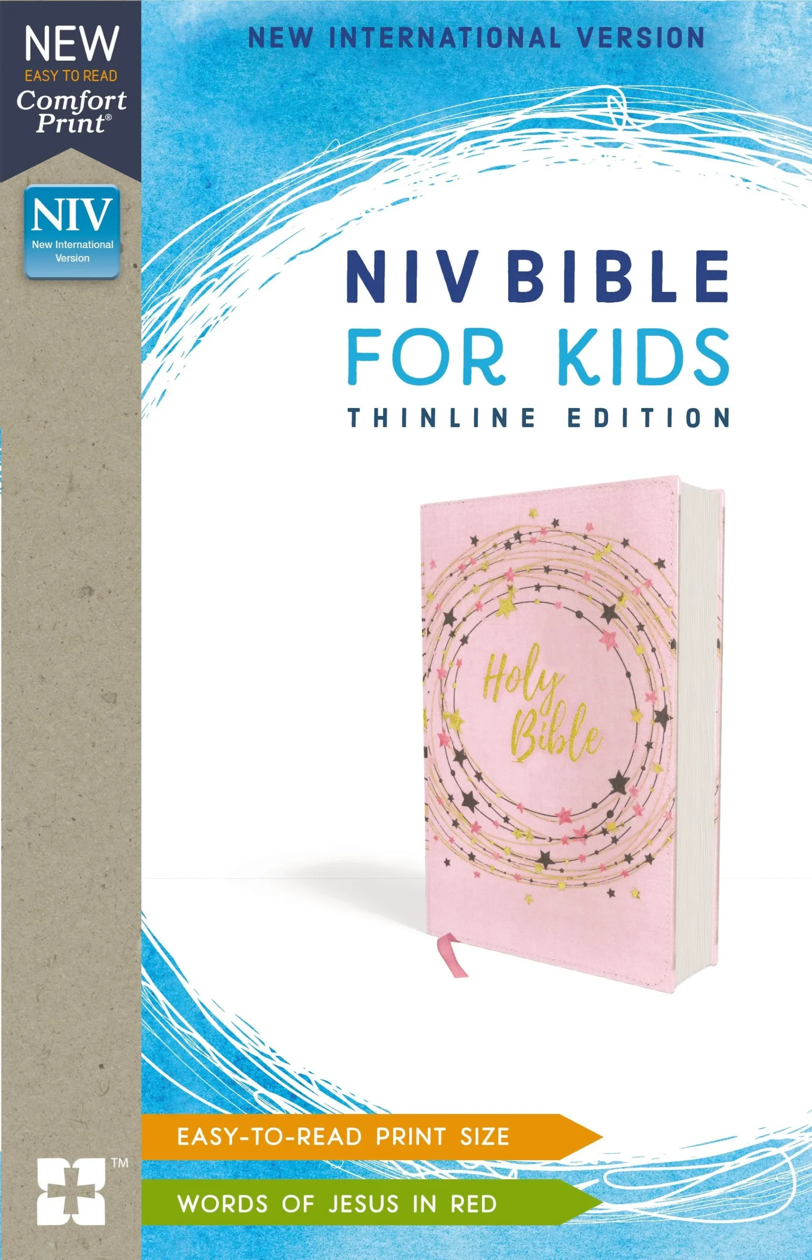 is niv bible good for beginners
