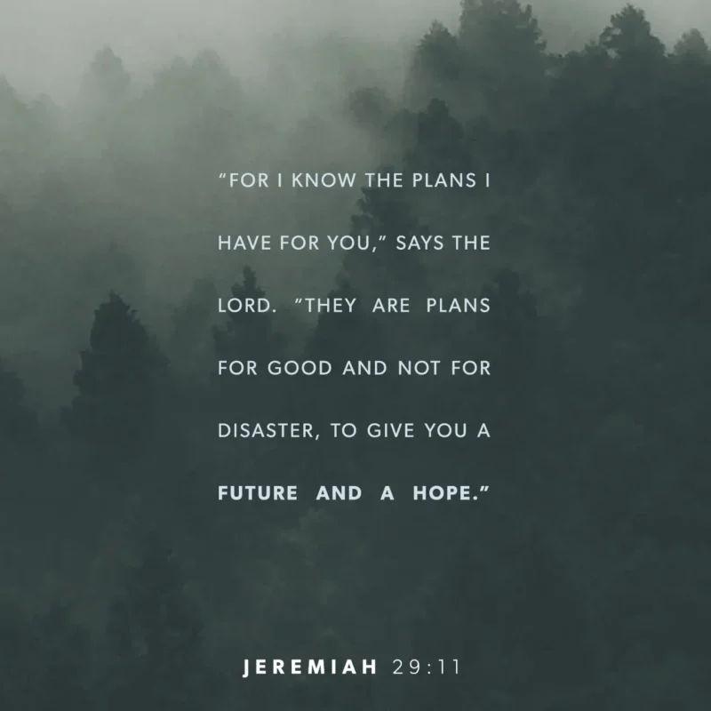 jeremiah 29 11 mean