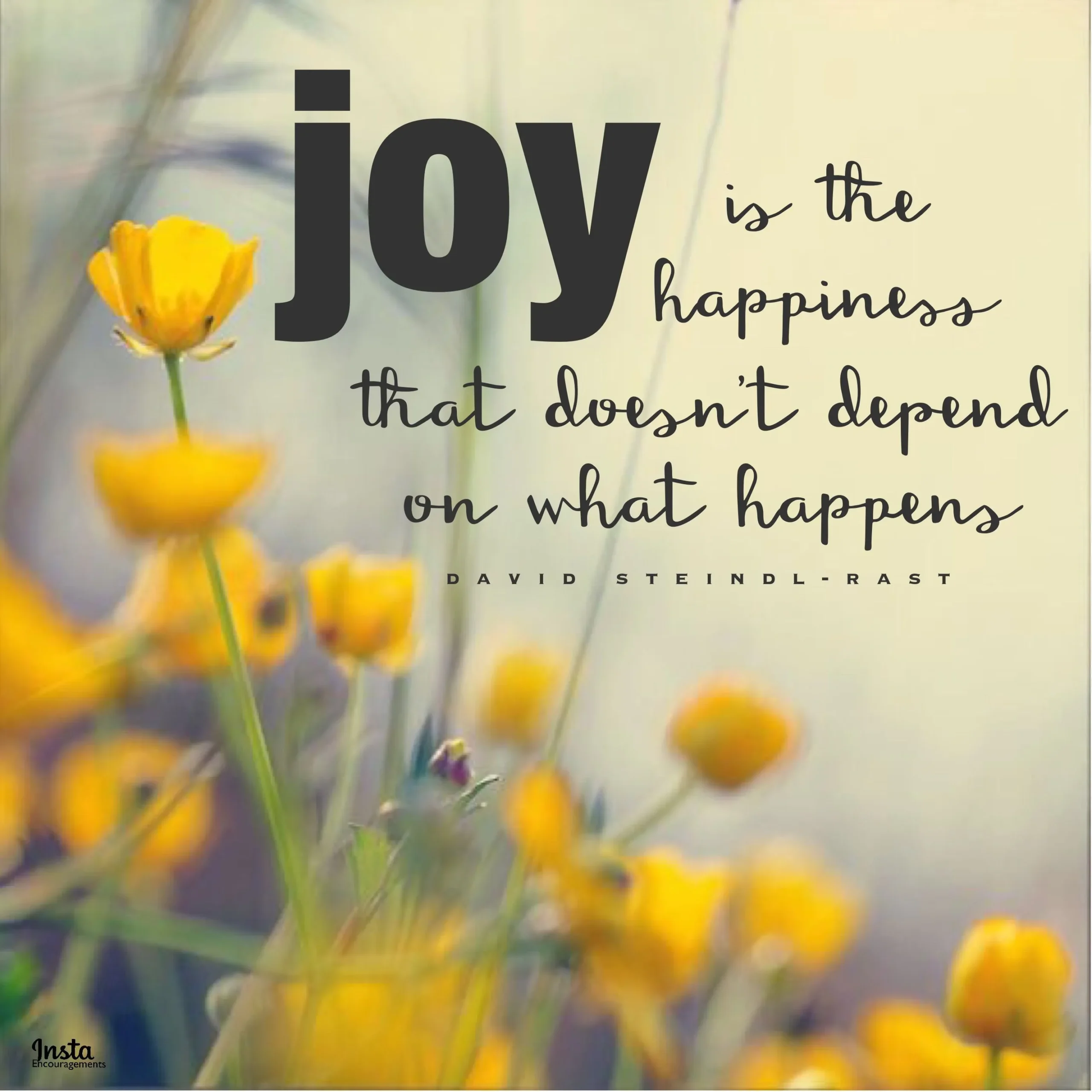 joyful vs happy