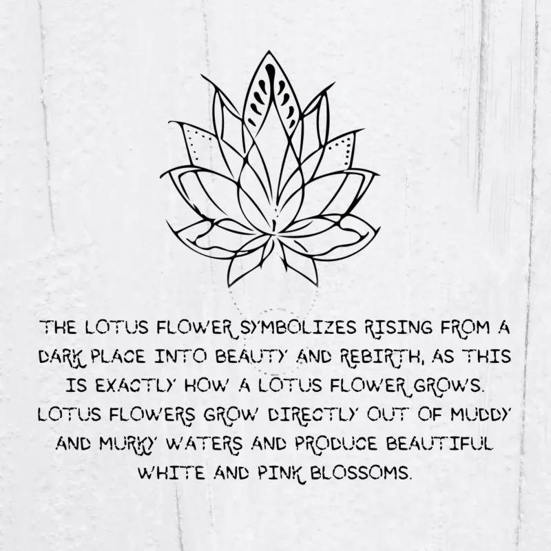 lotus flower christian meaning