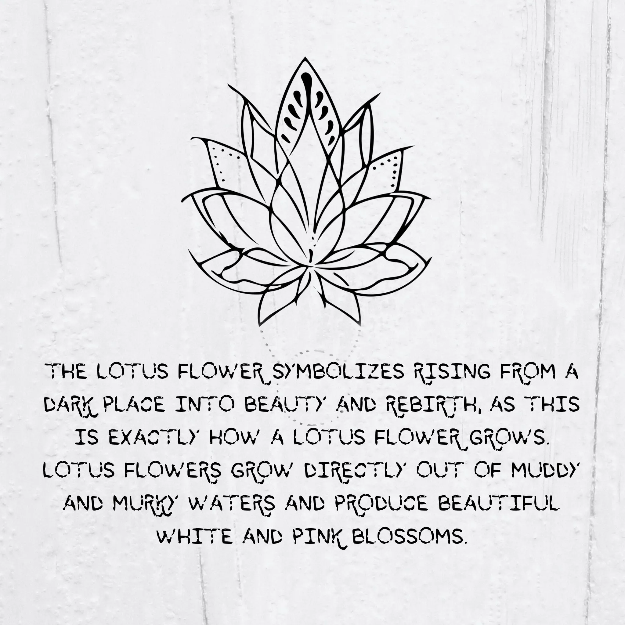 lotus flower christian meaning