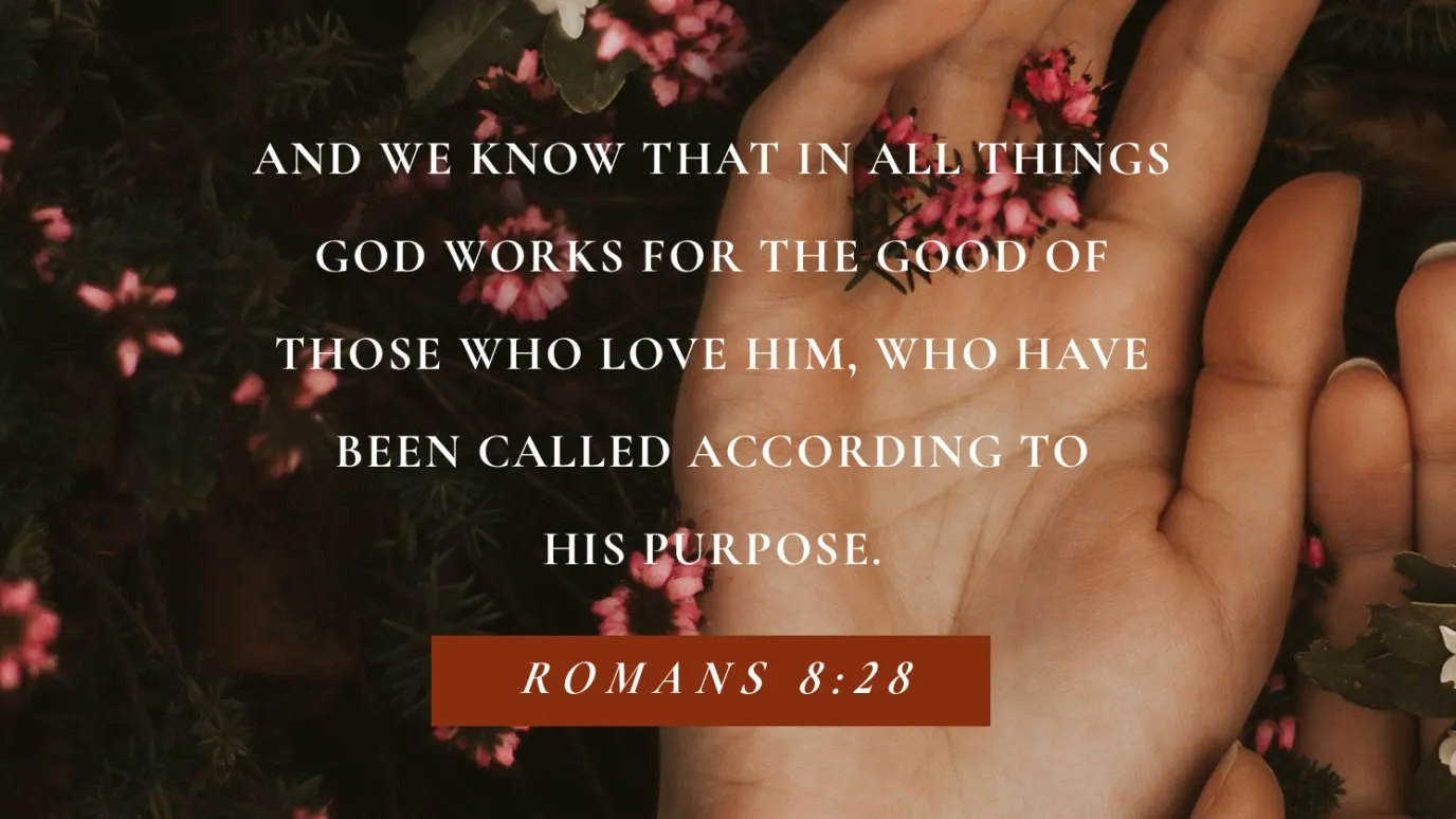 meaning of romans 8 28