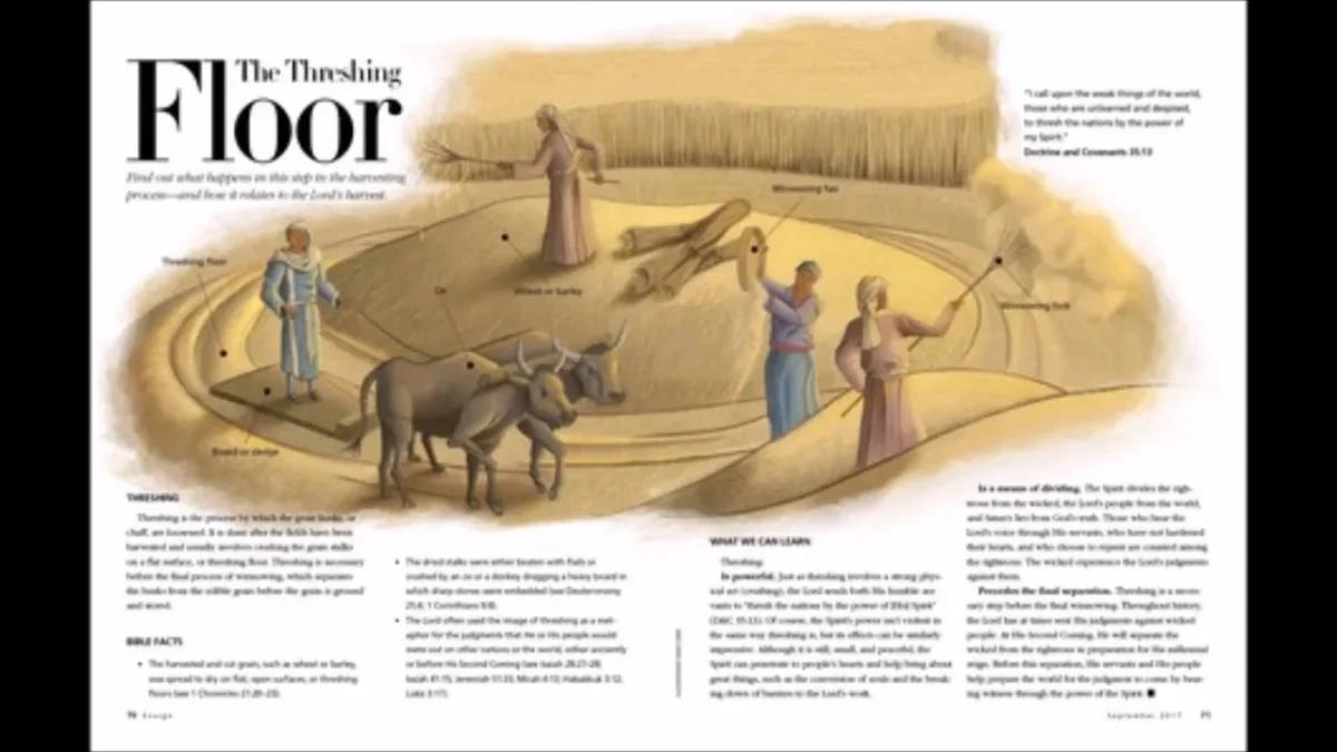 meaning of threshing floor