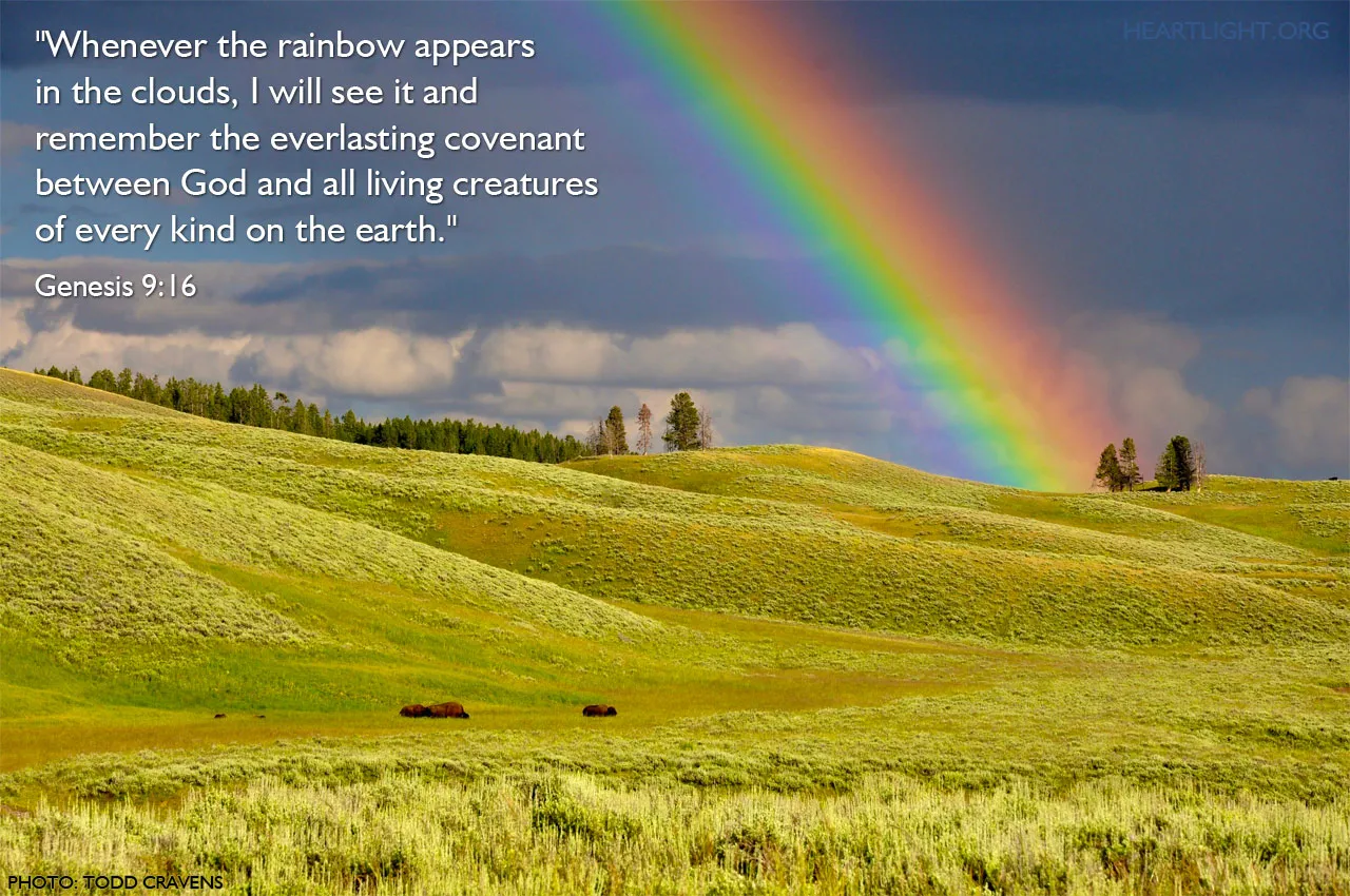 rainbow in bible