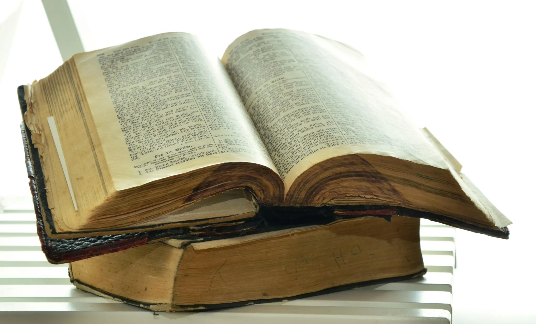 Shocking Secrets Revealed: Untold Truth About the Authors of the Book of Psalms