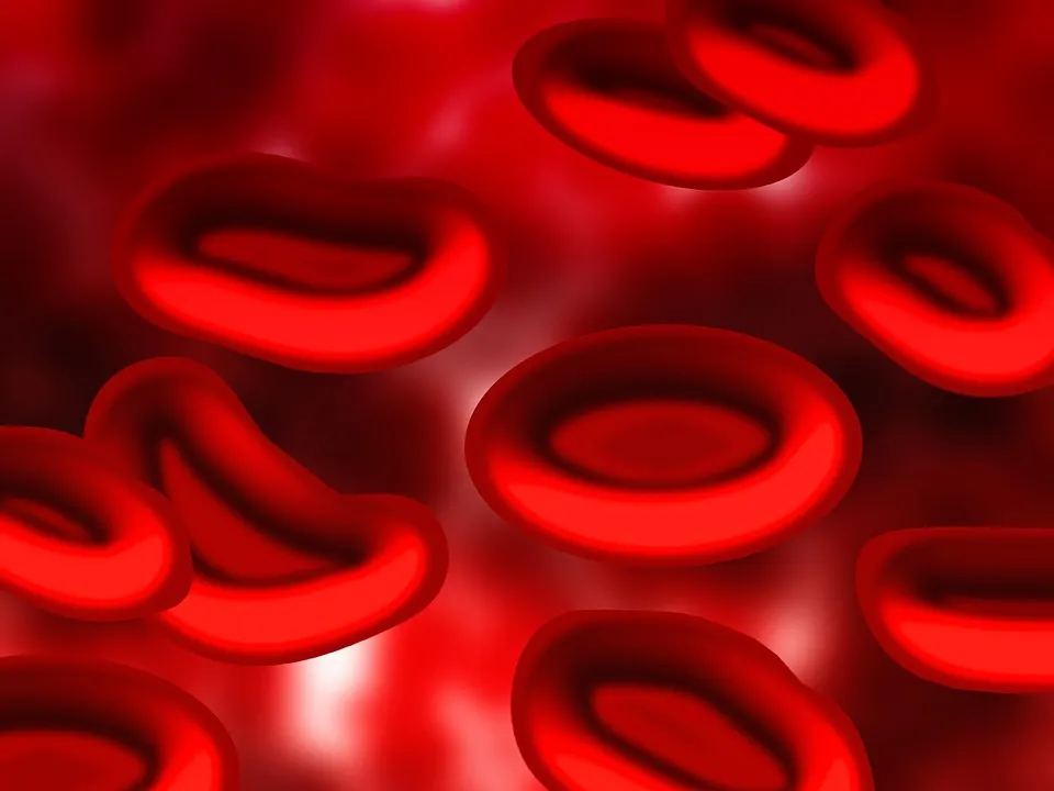 Unlocking the Hidden Power of Blood: The Surprising Significance Revealed