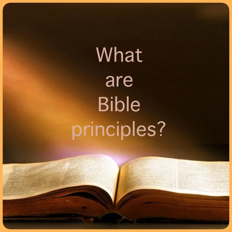 What Are Bible Principles 800x800.webp