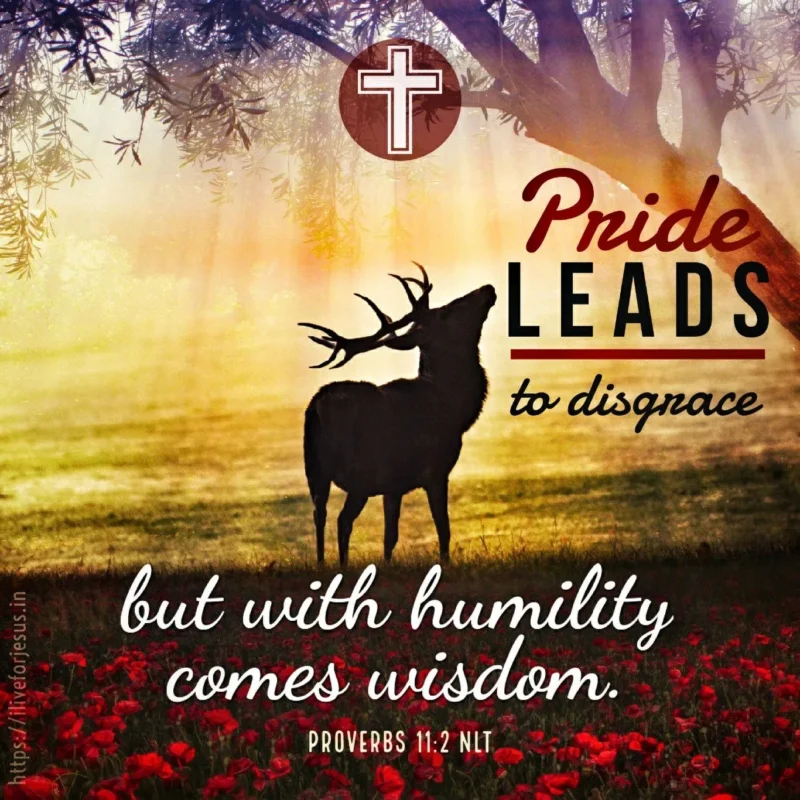 what-causes-pride-bible-2024