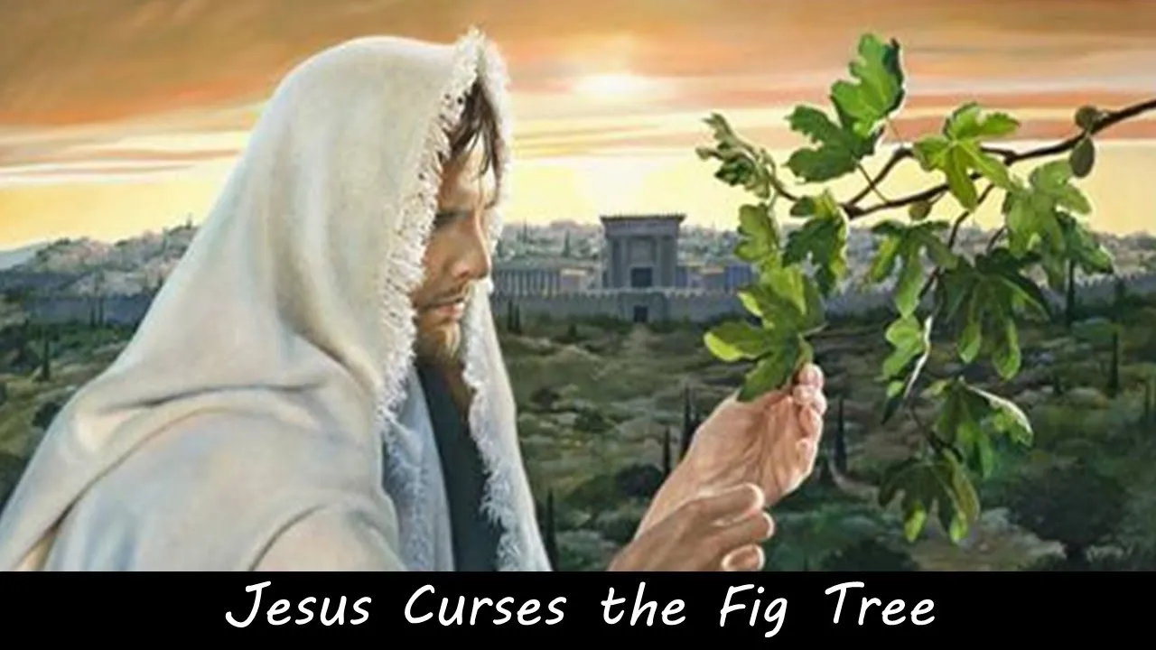 why did jesus curse the fig tree